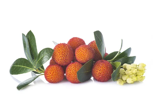 Arbutus unedo frutos aislados sobre fondo blanco — Foto de Stock