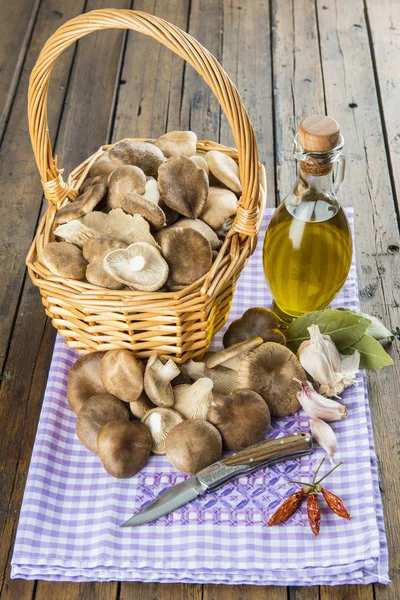 Basket with mushrooms and ingredients for cooking — Stock Photo, Image