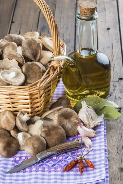 Basket with mushrooms and ingredients for cooking — Stock Photo, Image