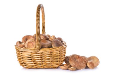 Basket with saffron milk caps isolated clipart