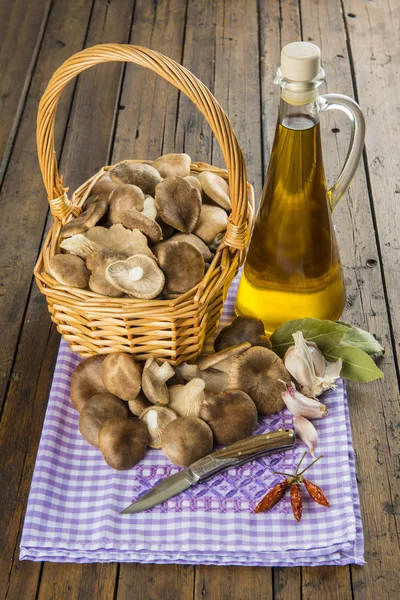 Basket with mushrooms and ingredients for cooking — Stock Photo, Image