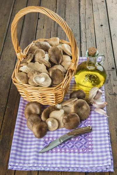 Basket with mushrooms and ingredients for cooking — Stock Photo, Image