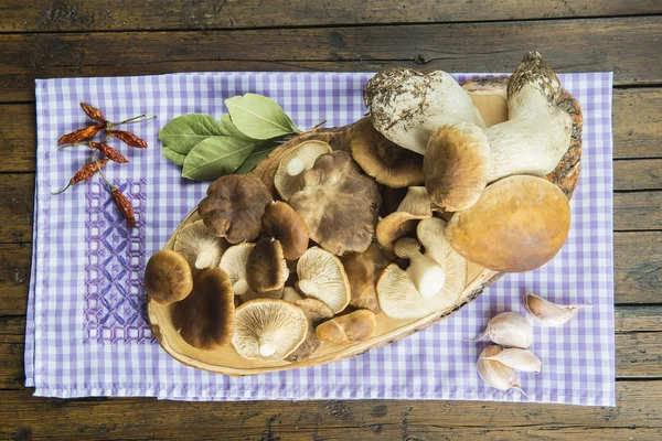 Асортимент грибів та інгредієнтів Стокова Картинка