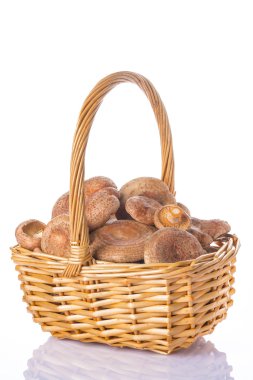 Sepet izole safran süt kapakları