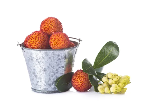 Emmer met arbutus unedo vruchten over Wit — Stockfoto