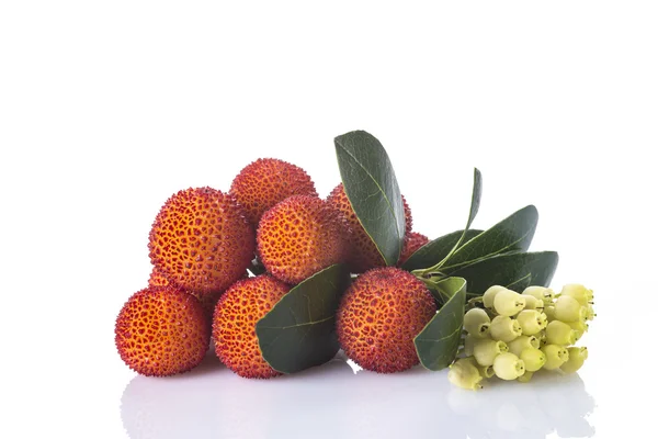 Arbutus unedo vruchten geïsoleerd op een witte achtergrond — Stockfoto
