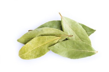 Bay defne yaprakları üzerinde izole beyaz arka plan