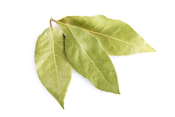 Bay laurel leaves isolated on white background — Stock Photo, Image