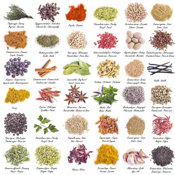 Spices set isolated on a white background — Stock Photo, Image