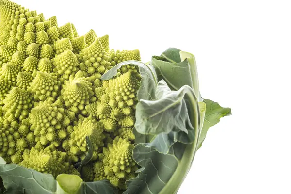 Романеско брокколі овочі ізольовані на білому тлі — стокове фото