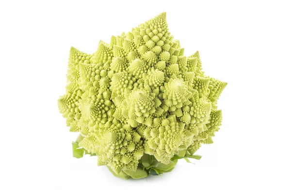 흰색 배경에 고립 Romanesco 브로콜리 야채 — 스톡 사진