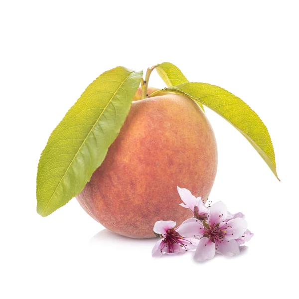 Peach with leaves and flowers isolated on white — Stock Photo, Image