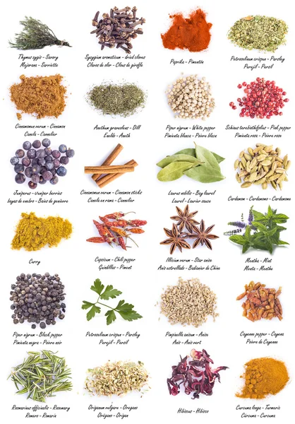 Herbs and spices for cooking — Stock Photo, Image