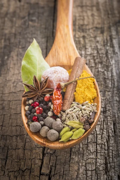 Wooden spoon with assortment of spices — Stock Photo, Image