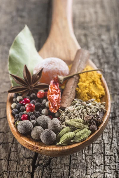 Wooden spoon with assortment of spices — Stock Photo, Image