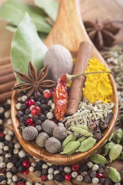 Cucchiaio di legno con assortimento di spezie — Foto Stock