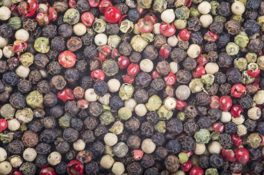 Dört biber karışımı