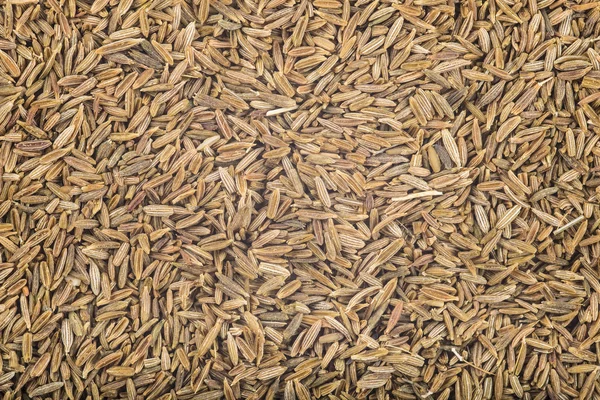 Fondo hecho de semillas de hinojo — Foto de Stock