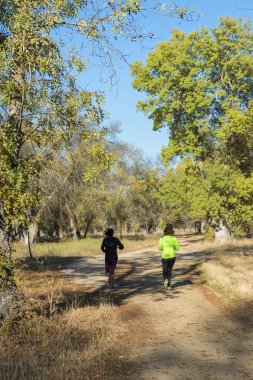 Ormanda çalışan kadın