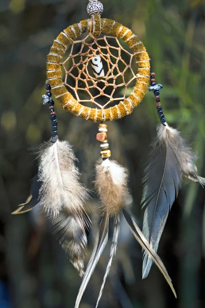 Dream catcher opknoping van een boom — Stockfoto