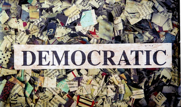 Political words on Newspaper confetti — Stock Photo, Image