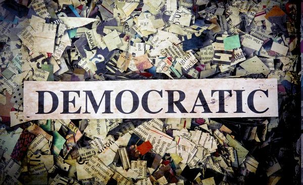 Political words on Newspaper confetti — Stock Photo, Image