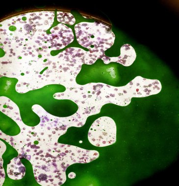 Petrol ve bırakmayın 