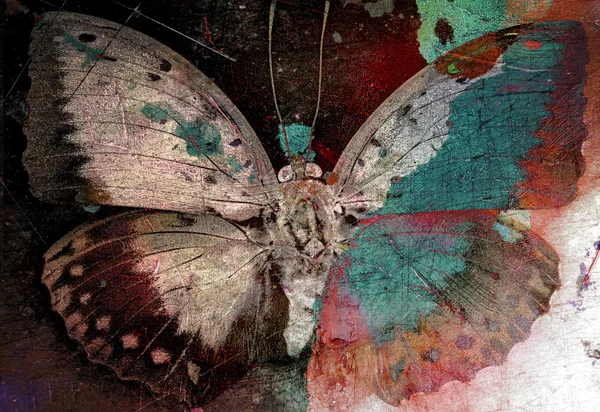 Kelebek grunge görüntü — Stok fotoğraf