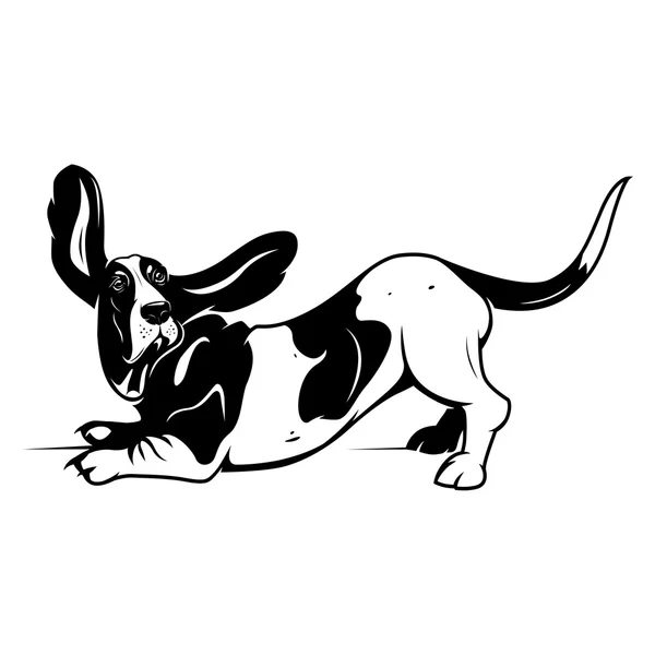 Cão basset bonito —  Vetores de Stock