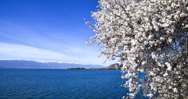 Makedonya 'nın Ohri Gölü