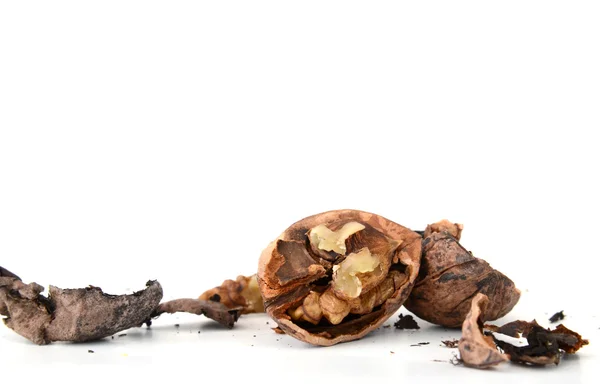 Walnut fruit on a white background — Stock Photo, Image