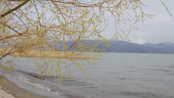 Lago prespa, macedónia — Vídeo de Stock