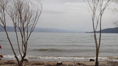 insan ve köpek Prespa Gölü, Makedonya kumsalda yürüyen