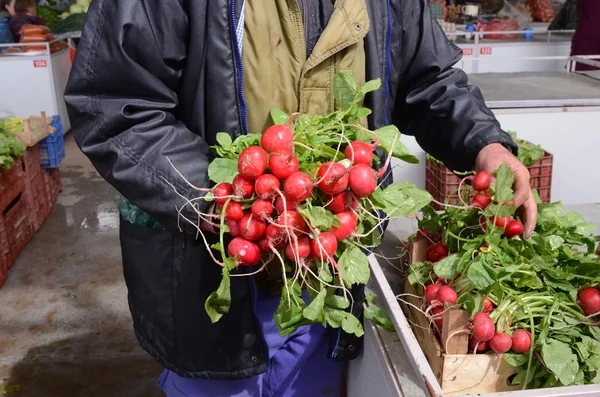 Agricultores muestran rábanos frescos maduros en un mercado — Foto de Stock