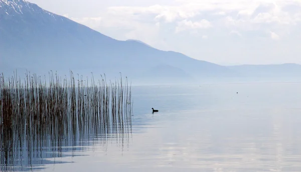 Jezero Ohrid, Makedonie — Stock fotografie