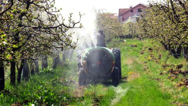 spraying apple orchard in spring clipart