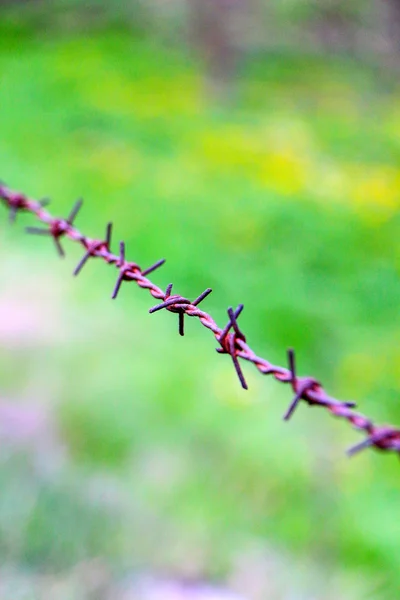 Rusty barbed wire. Security concept — Stock Photo, Image