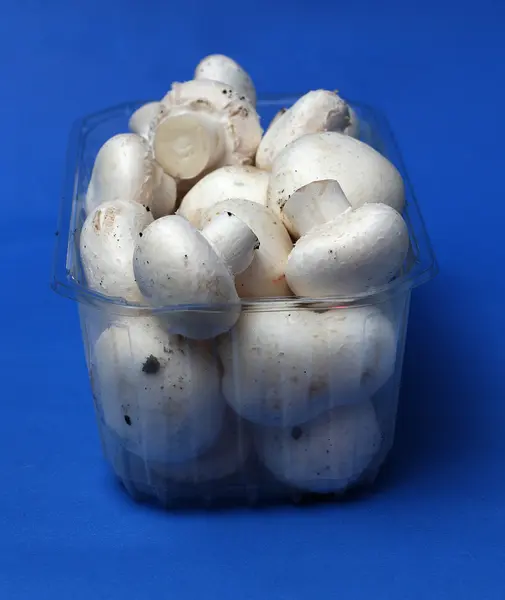 Μανιτάρια champignon φρέσκο σε μπλε φόντο — Φωτογραφία Αρχείου