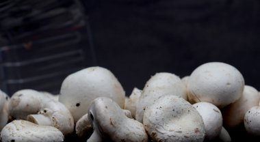  karanlık bir arka plan üzerinde taze champignon mantar