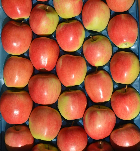 Rijpe appels te koop in een krat weergeven — Stockfoto