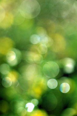 Ekoloji sabah bokeh arka plan