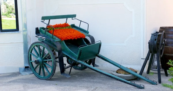 Carruagem velha — Fotografia de Stock