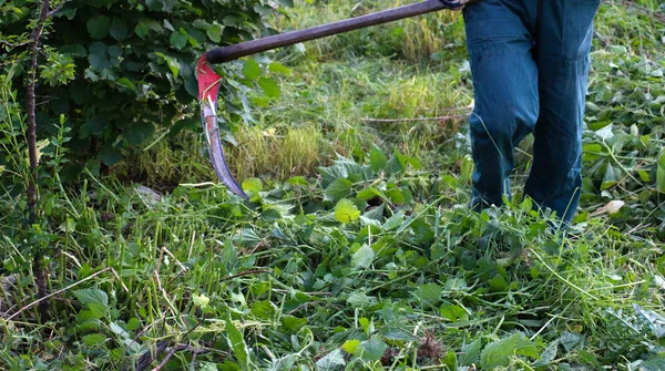 Um homem corta uma relva com uma foice no prado verde — Fotografia de Stock