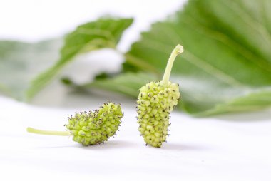 Beyaz dut beyaz arka plan üzerinde izole