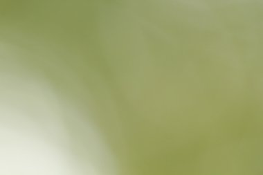 yumuşak gradyan arka planı.