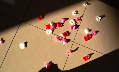 gül yaprakları düğün töreni sonrası zemin döşeme