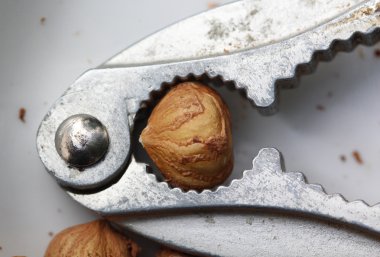 Fındıkları kapatın.