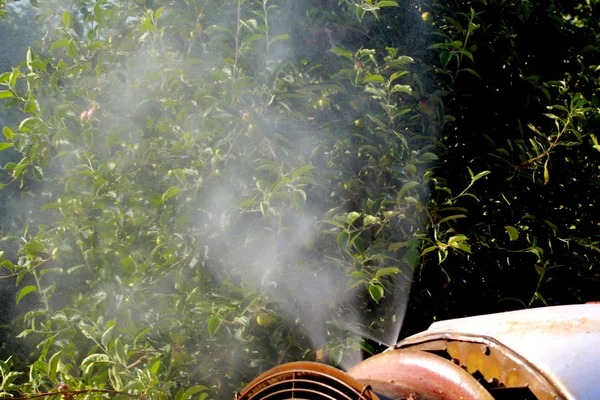 air blast sprayer with a chemical insecticide