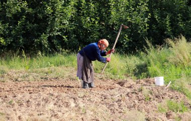 Gorna Bela Crkva, Makedonya - 23 Haziran 2016: içinde Gorna Bela Crkva, villlage 83 yıl bir Resen, Makedonya'nın city yakınındaki bir aile alanında kazma yaşlı köylü kadın.