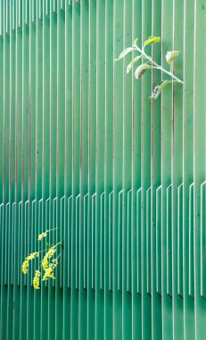 yeşil metal çit. alan focuc dar bölümü